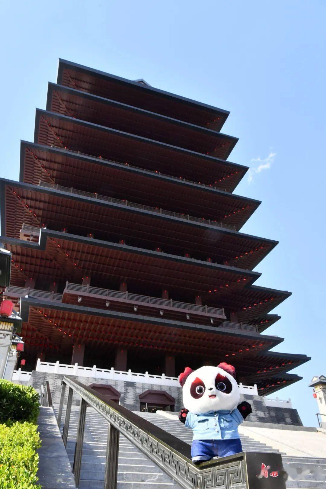 成都蓉城吴博金年会app